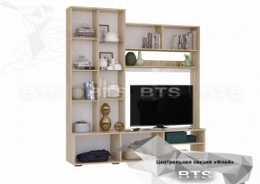 ФЛАЙ Центральная секция ЦС-01 (дуб сонома/белый) в Уфе - ufa.ok-mebel.com | фото 4