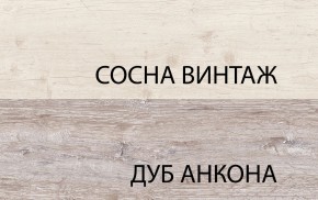 Тумба RTV 1D2SN, MONAKO, цвет Сосна винтаж/дуб анкона в Уфе - ufa.ok-mebel.com | фото 3