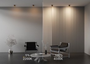 Встраиваемый светильник Maytoni Onda DL024-12W-DTW-BMG в Уфе - ufa.ok-mebel.com | фото 9